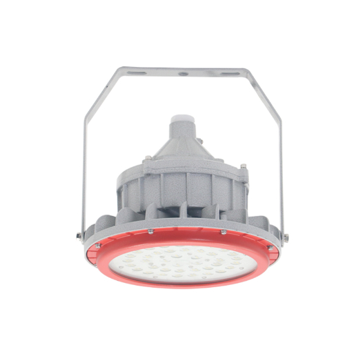 LED免维护防爆灯(支架式)